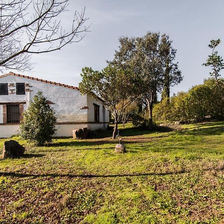 El Pueblo De Leo Hotel Badajoz Eksteriør billede