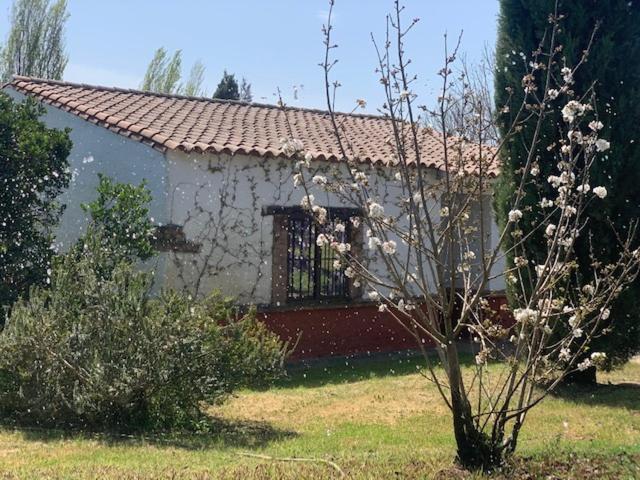 El Pueblo De Leo Hotel Badajoz Eksteriør billede