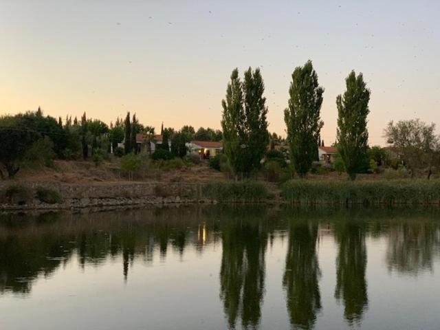 El Pueblo De Leo Hotel Badajoz Eksteriør billede